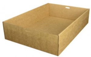 Brown Kraft Catering Tray EXTRA SMALL 255x153x80 ECT1 (Ctn of 100)
